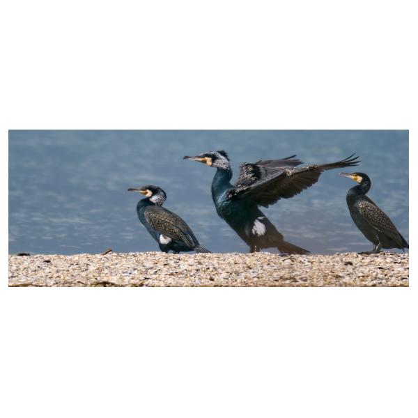 PHOTO84, CLUB, 84 , LUBERON